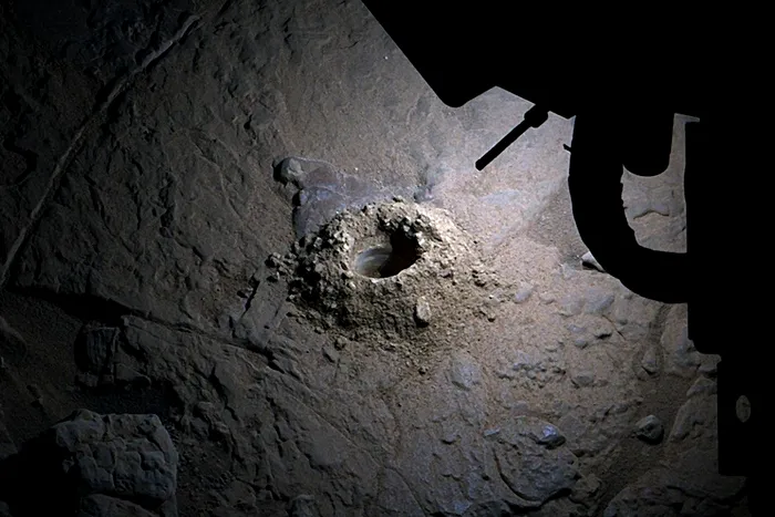 Foto: iflscience.com