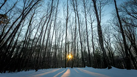 Solstițiul de iarnă 2025. Când va fi cea mai lungă noapte din acest an