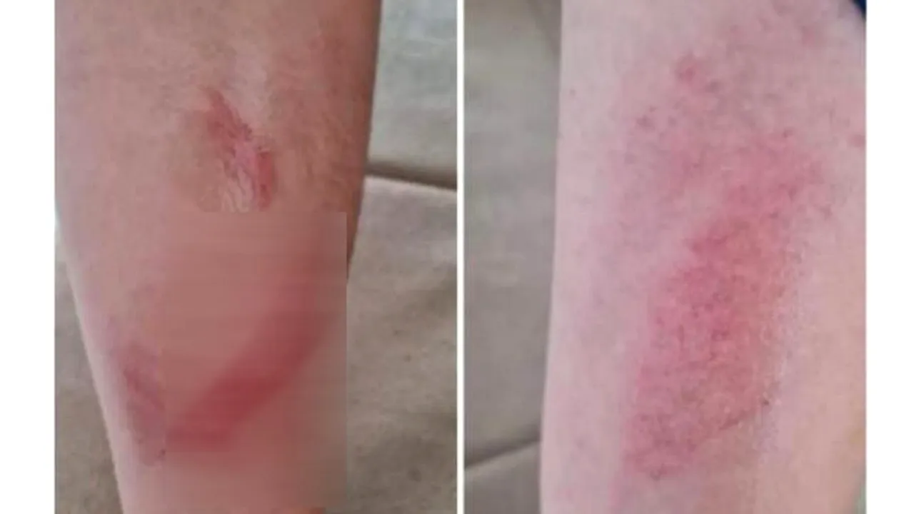 Elev agresat de colegi pentru că este „grăsuț”. Incidentul revoltător, cercetat de Poliție și Inspectoratul Școlar Județean Gorj