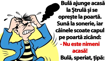 BANC | Bulă ajunge acasă la Ștrulă și se oprește la poartă: 