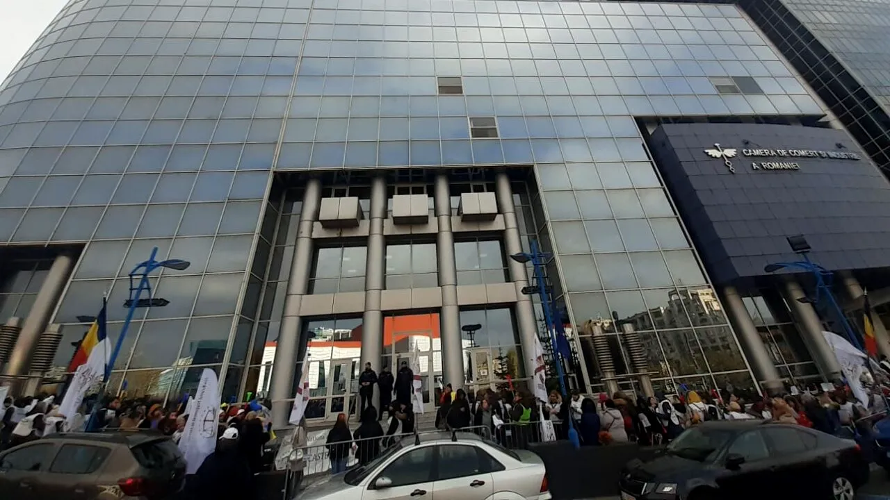 Potop de sesizări la Înalta Curte de Casaţie şi Justiţie în legătură salarizarea bugetarilor, OUG 62/2024