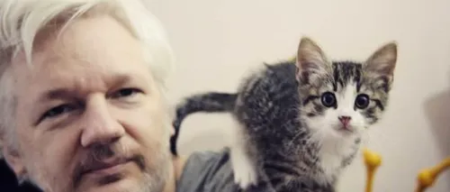 Internetul dorește răspunsuri: Ce s-a întâmplat cu pisica lui Julian Assange?