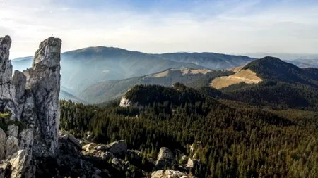 Impactul politicilor și partidelor verzi în DEMOCRAȚII