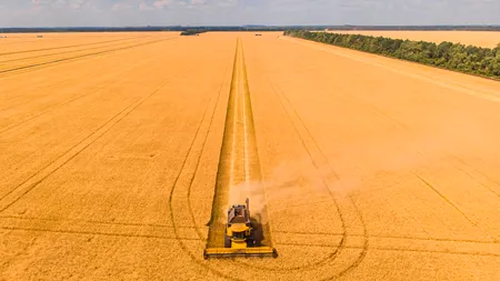 România și alte cinci state din regiune susțin că sunt afectate de importurile de produse agricole ieftine din Ucraina