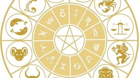 Previziunile lui Neti Sandu pentru anul viitor. Cine va avea succes în carieră în 2013