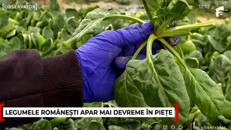 LEGUMELE românești apar mai devreme în piețe. Motivul: cel mai cald ianuarie din istorie