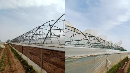 Dezastru în cel mai mare bazin legumicol din Dâmbovița. Hectare întregi de solarii, afectate de vântul puternic