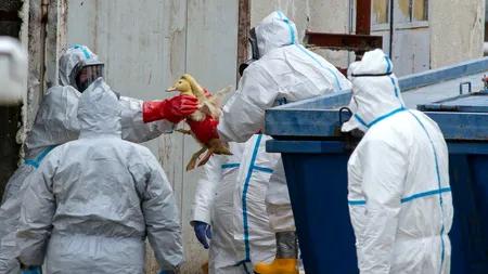 SUA și Europa pregătesc stocuri de vaccinuri, anticipând o pandemie mai devastatoare decât cea de Covid