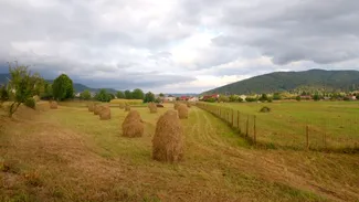 Presa britanică, despre România: „Un mod de viață tradițional este pe cale de DISPARIȚIE”