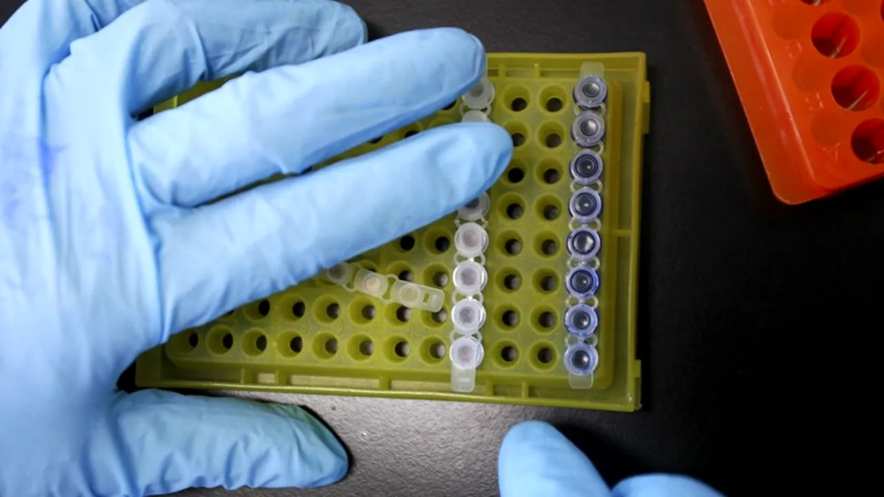 Cercetătorii au creat pielea artificială care se vindecă singură