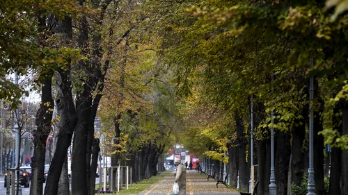 Primăria Capitalei vrea să investească 52 de milioane de lei pentru MODERNIZAREA iluminatului din parcul HERĂSTRĂU