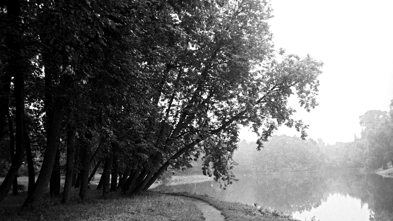 Două gemene din București, găsite într-un lac din Paris. Poliția crede că e o DUBLĂ SINUCIDERE