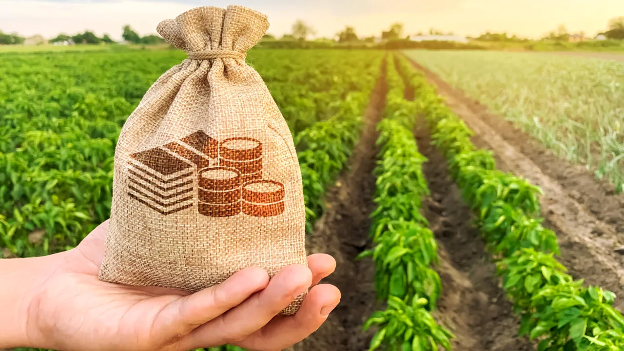 Sprijin de până la 200.000 de euro pentru o anumită categorie de fermieri. Ce presupune programul Agenției pentru Finanțarea Investițiilor Rurale