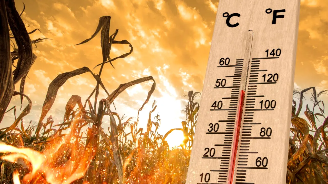 Meteo 3 septembrie 2025. Cod galben de caniculă în 20 de județe din România. Temperaturile ajung la 37°C
