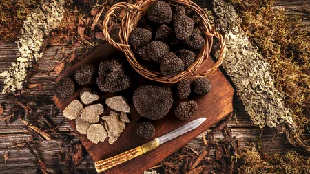 Trufele au atins prețuri record din cauza secetei: 