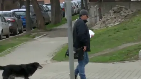 POVESTEA emoționantă dintre un câine și un poștaș din Iași. Cum au devenit de nedespărțit