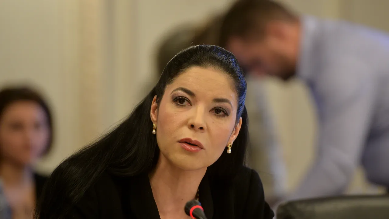 Birchall, despre numirea noului președinte ÎCCJ: Am solicitat un punct de vedere bazat pe lege