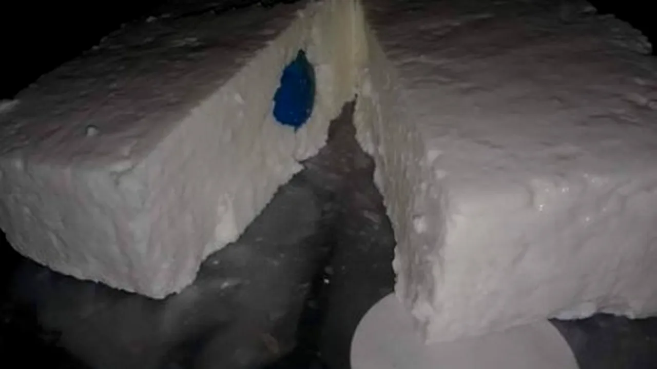 Ce a găsit un bucureștean în brânza cumpărată de la supermarket