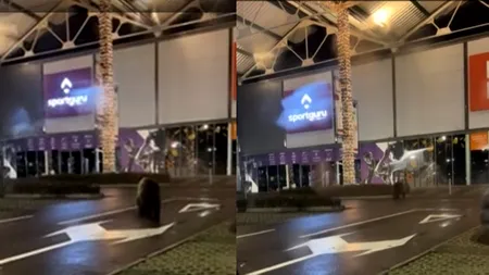 „Moș Martin a venit la cumpărături”. Imagini cu un urs alergând printre mașini în parcarea unui mall din Brașov