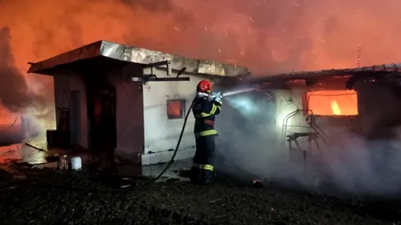 FOTO STÂNĂ făcută scrum în Prahova. Sute de capre și zeci de păsări au fost surprinse în interior