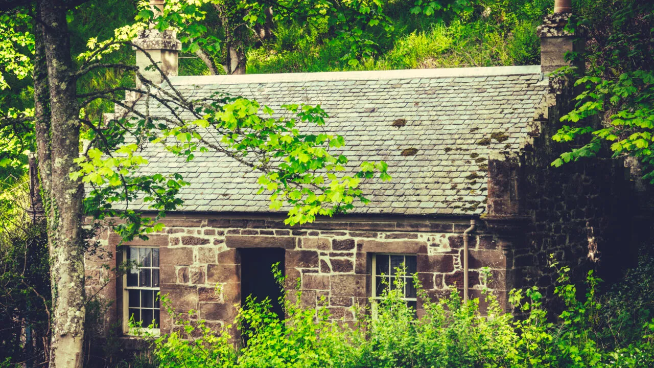 Prețul uriaș cerut pentru cea mai izolată casă din Marea Britanie. Se află în inima pădurii și are un teren de peste 4000m²