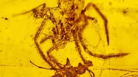 PREMIERĂ. Ce au descoperit specialiștii într-o FOSILĂ DE 100 DE MILIOANE DE ANI