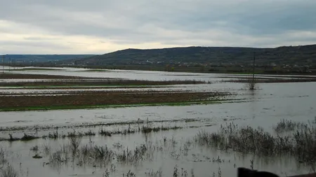 Descoperire macabră în județul Iași. Ce a scos la suprafață Prutul la 300 de metri de locul unde un bărbat a fost găsit înecat