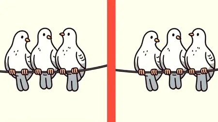 TEST de inteligență | Între aceste două poze există 3 diferențe. Le puteți găsi?