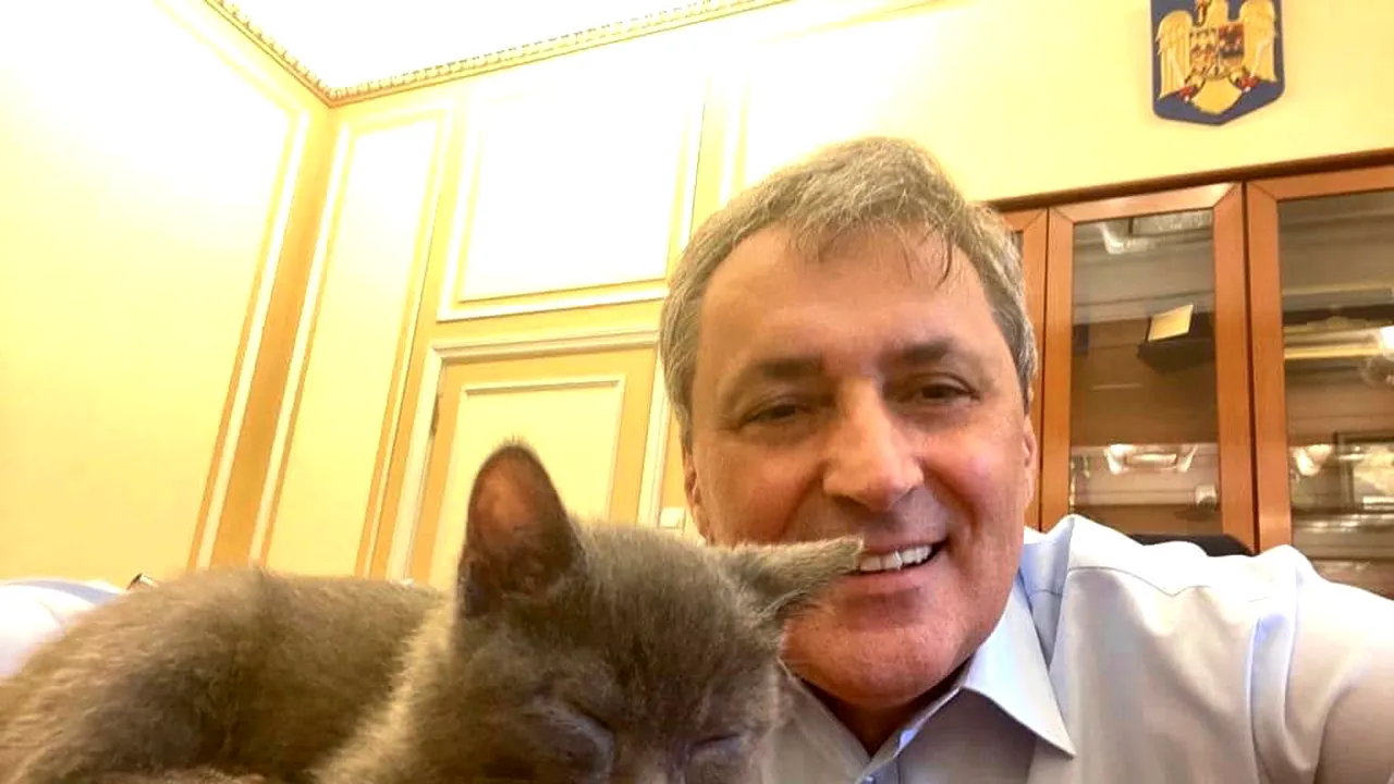 Marcel Vela: Guvernul a aprobat înfiinţarea Poliţiei Animalelor. Va avea 488 de angajaţi plus 88 de medici veterinari și structuri în toate judeţele