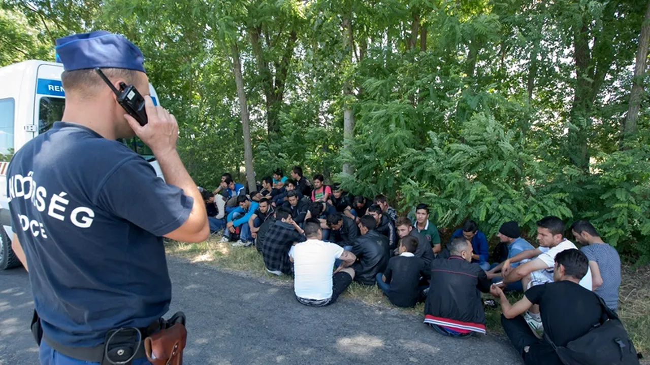 Nouă migranți din Irak, găsiți ascunși în podeaua remorcii unei utilitare 