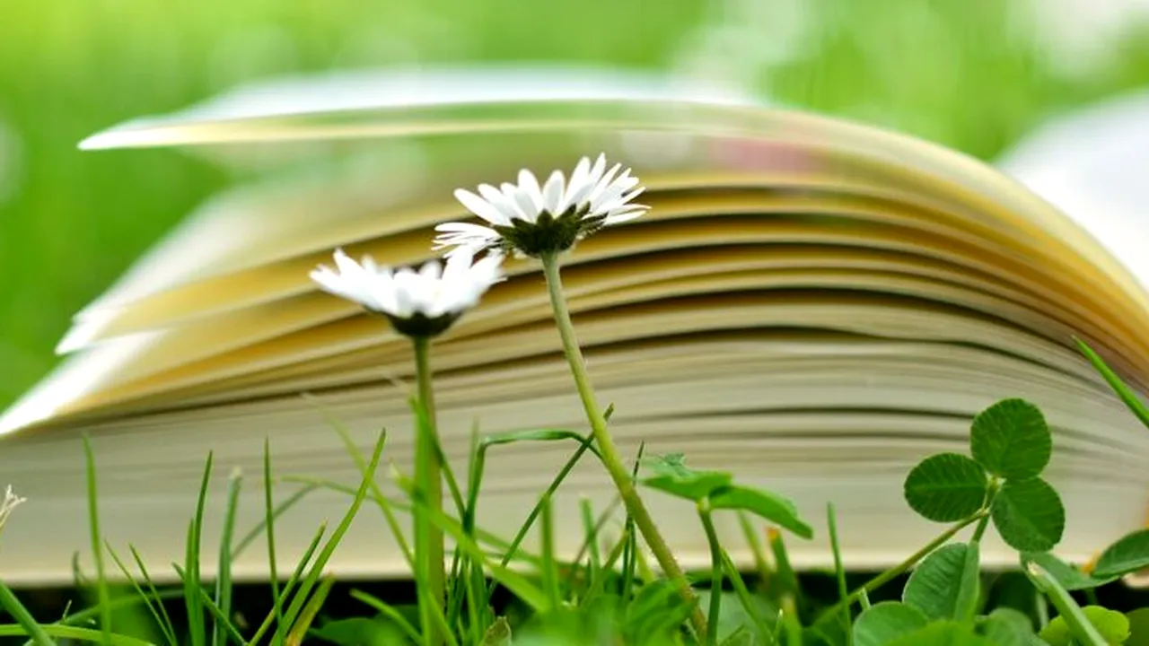 Educația pentru mediu în România, o provocare deschisă: ”Nivelul scăzut de educație științifică crește vulnerabilitatea față de dezinformare”