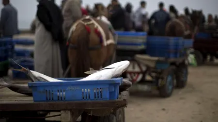 Israelul contestă comisia de anchetă a ONU privind războiul din Fâșia Gaza: „Este o comisie ce trage concluzii în avans