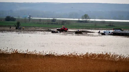 Inundații în Giurgiu: 11 localități și peste 5.000 de hectare de teren au fost afectate