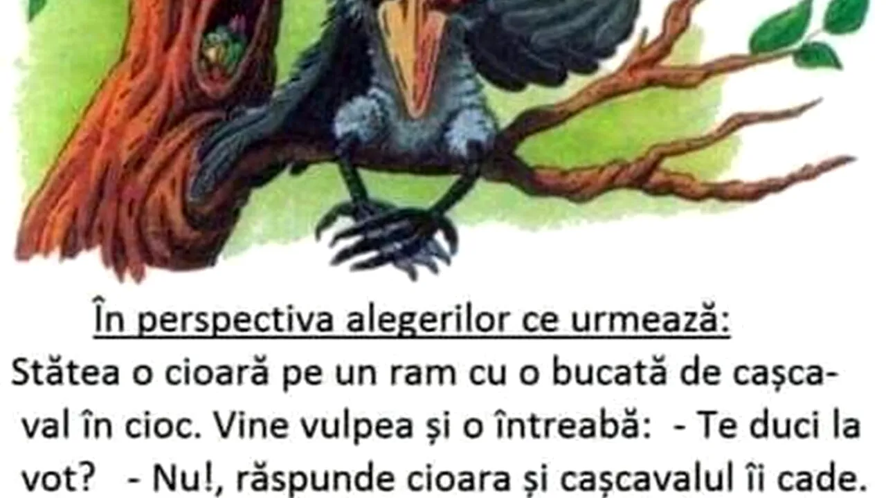 BANCUL ZILEI | Cioara, vulpea și alegerile electorale