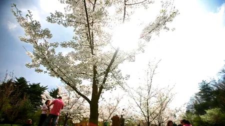 VREMEA. Cum va fi vremea în aprilie și mai 