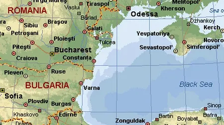 Armata ucraineană a pierdut în Marea Neagră trei delfini antrenați să UCIDĂ