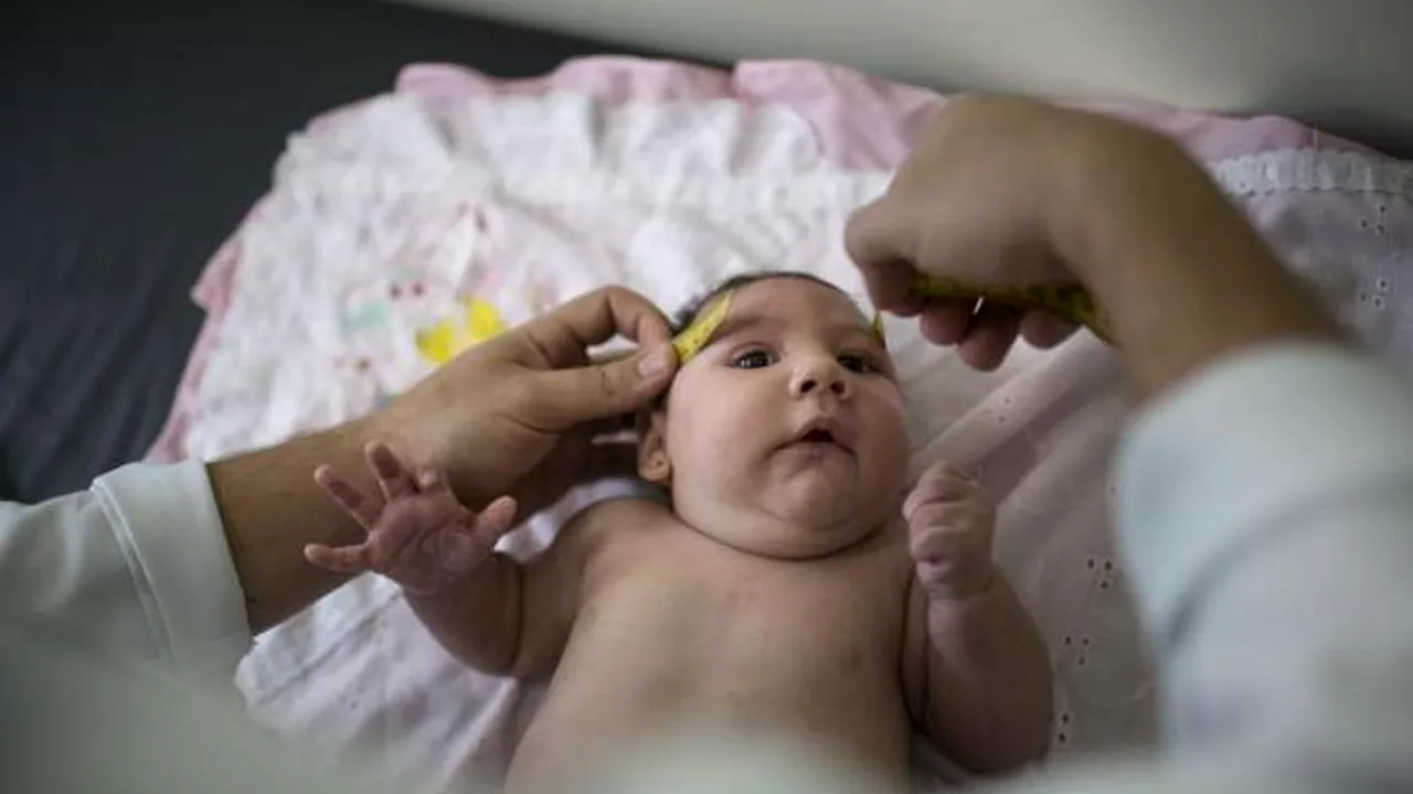 Pas important în lupta cu Zika. Cum trece virusul  de la mamă la făt