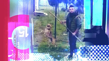 Scene șocante la o școală din Tulcea: Un pseudo-hingher maltratează cu sânge rece un câine în fața elevilor! / Mărturia cutremurătoare a unui elev care a fost martor: Zeci de copii plângeau!- VIDEO