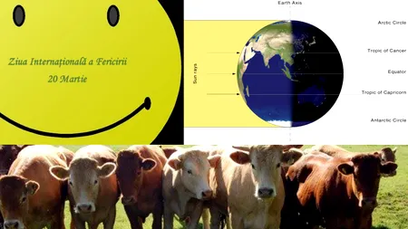 20 MARTIE, calendarul zilei: Ziua Internațională a Fericirii/ Echinocţiul de primăvară/ Începe scandalul „vacii nebune