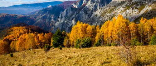 Stațiunea care rivalizează cu Poiana Brașov. Se află în vestul României și atrage mii de turiști