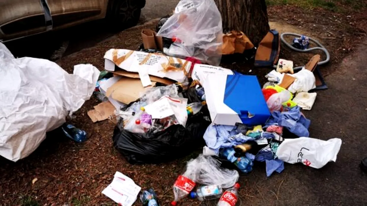 Amendă URIAȘĂ pentru gunoi aruncat în centrul Timișoarei. Cine era, de fapt, bărbatul „certat” cu bunul simț