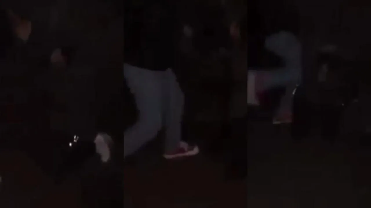 VIDEO | Fată de 11 ani snopită în bătaie într-un parc din Timișoara. Agresiunea a fost filmată