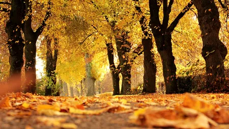 Prognoza meteo actualizată. Cum va fi vremea până la jumătatea lunii octombrie