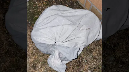 FOTO | Ce a găsit o femeie pe marginea drumului, în mai multe fețe de pernă. „Instinctul meu a știut că înăuntru se afla ceva viu”