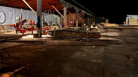 FOTO-VIDEO - Percheziții de amploare la „mafia lemnului”. Procurorii și polițiștii au descins în 17 ocoale silvice, dar și la zeci de adrese ale unor persoane suspectate că au tăiat ilegal arbori