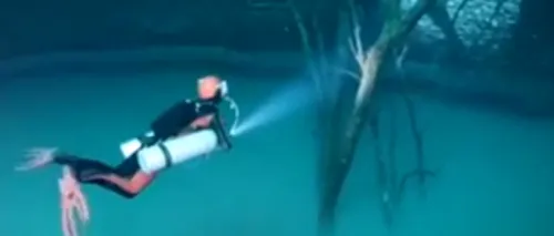 VIDEO. Imagine spectaculoasă pe fundul unui crov din Mexic. Ce au descoperit scafandrii