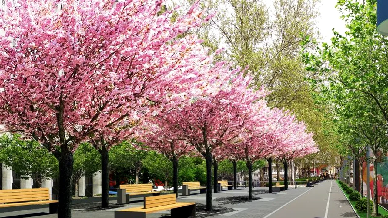 SE SCHIMBĂ CENTRUL CAPITALEI: mai mulți oameni, mai puține mașini. Cum va arăta Bulevardul Magheru după o investiție de 1,7 milioane de lei