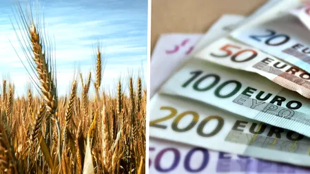 Fonduri europene pentru tinerii fermieri. Câte cereri s-au depus în prima zi