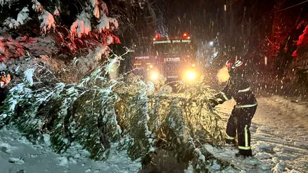 FOTO, VIDEO | Probleme în mai multe zone din țară din cauza vremii. Ninsoarea a pus copaci la pământ și a îngreunat traficul