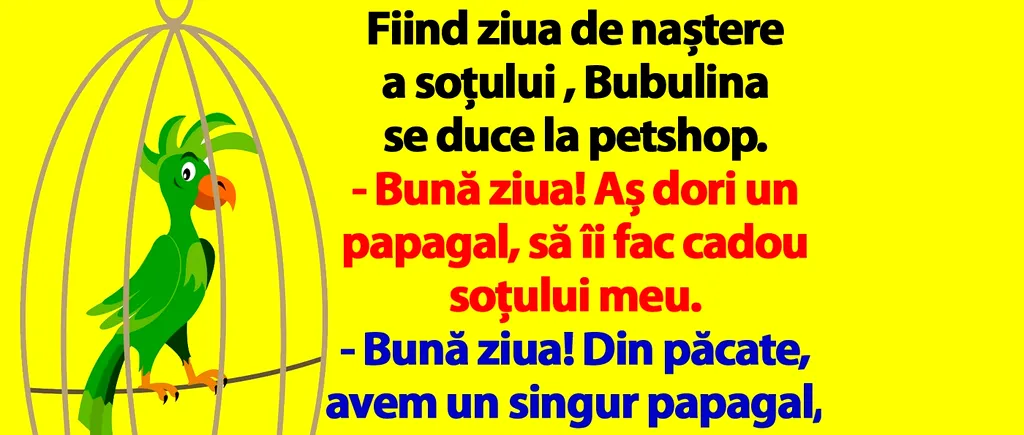 BANC | Bubulina se duce la petshop și cumpără un papagal, cadou pentru Bulă